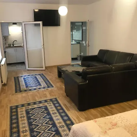 Da Vinci 3* Braszów