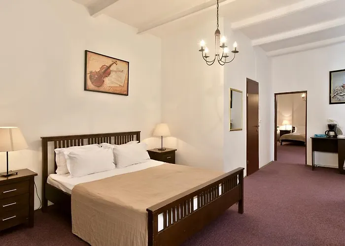 Da Vinci براشوف