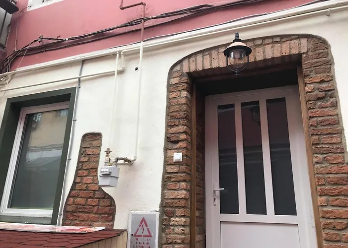 Da Vinci 3* براشوف